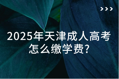 2025年天津成人高考怎么缴学费?